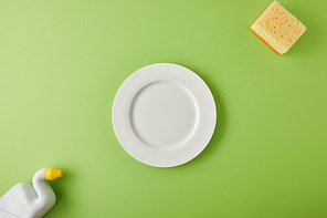 top view of white plate, sponge and bottle for dish washing on green