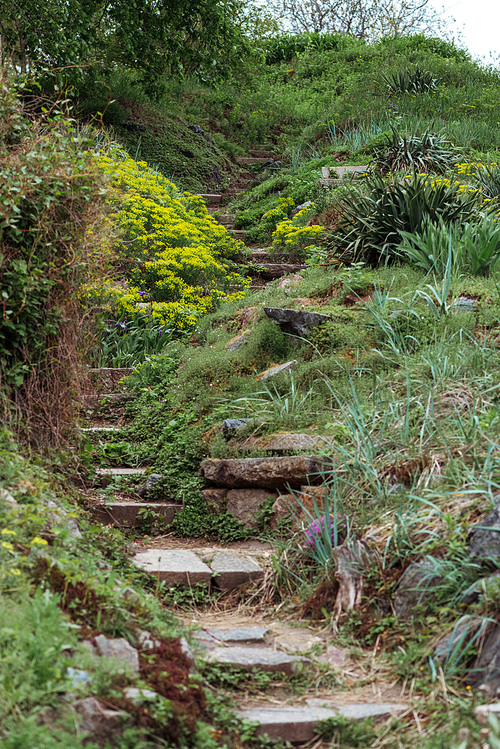 stone stairs in green blooming park with bushes, flowers and grass