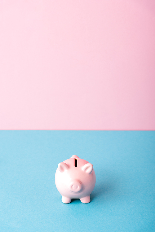 piggy bank isolated on pink and blue with copy space
