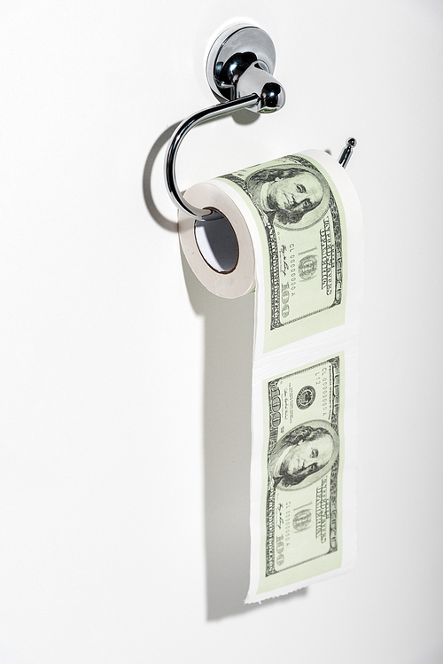 toilet paper roll with dollar banknotes on white