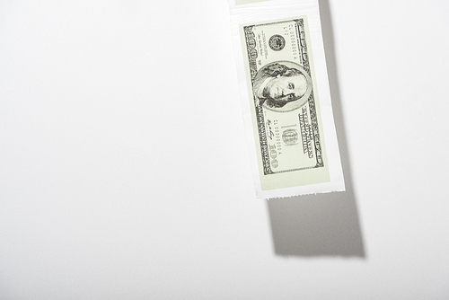 toilet paper with dollar banknote on white with copy space