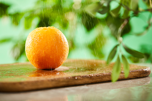 selective focus of whole orange with drops on wooden cutting board