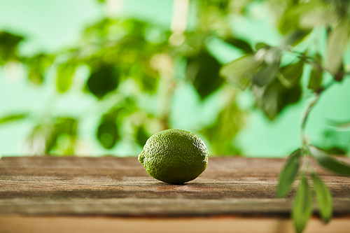selective focus of fresh and whole lime on wooden surface