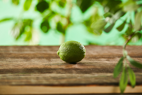 selective focus of fresh and whole lime on wooden surface