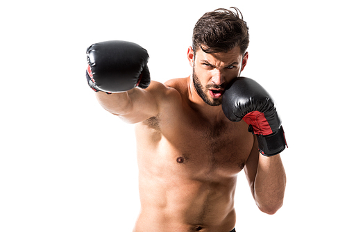 bearded muscular Boxer boxing Isolated On White