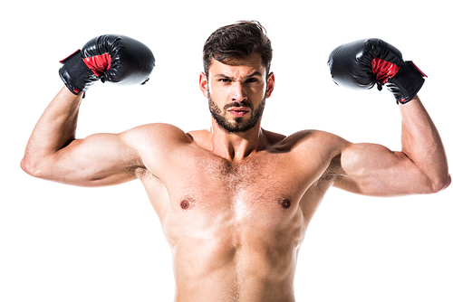 shirtless Boxer showing muscles Isolated On White