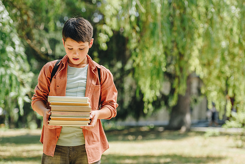 cute, surprised schoolboy holding books while standing in sunny park