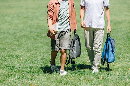 cropped view of two schoolboys walking on lawn in park with backpacks