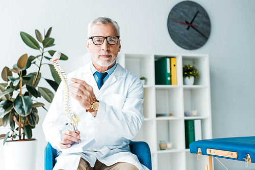 bearded doctor in glasses and white coat holding spine model in clinic