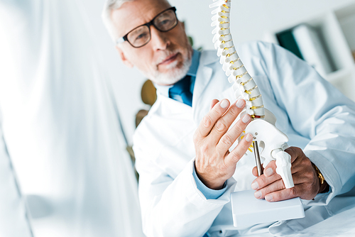 selective focus of doctor in white coat holding spine model in clinic