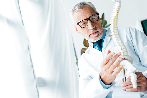 selective focus of doctor in white coat and glasses holding spine model in clinic