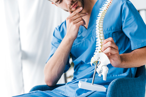 cropped view of bearded doctor holding spine model while sitting in armchair