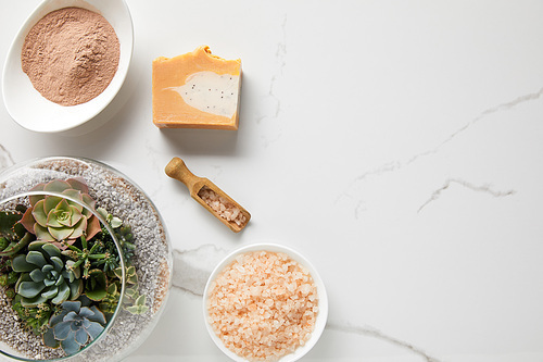 top view of clay powder, 씨솔트 and soap near succulent in glass aquarium on marble table