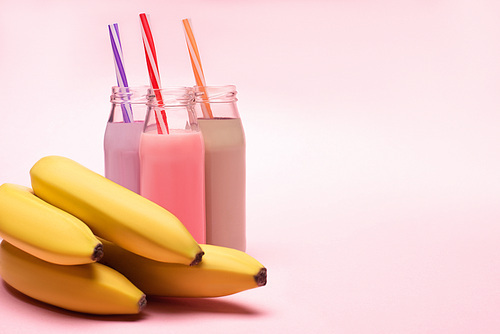 bottles of berry, strawberry and chocolate milkshakes with  straws and bananas on pink background