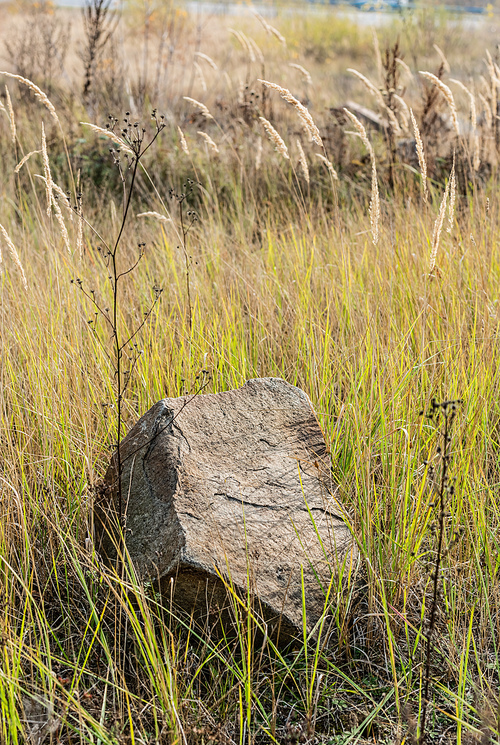 stone on ground near green grass in field