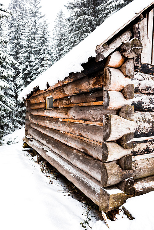 close up view of old wooden house near pine trees forest covered with snow