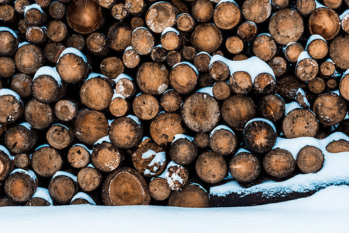 stack of wooden logs covered with pure snow