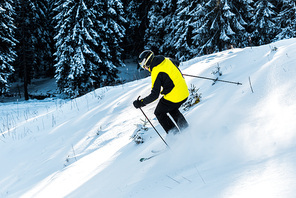 sportsman in helmet holding ski sticks while skiing on snow near pines