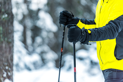 cropped view of skier holding ski sticks in wintertime