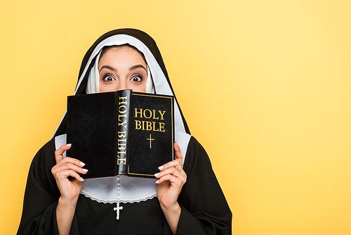 shocked nun reading holy bible isolated on grey