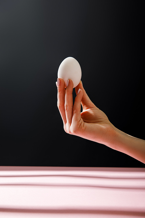 Partial view of woman holding chicken egg isolated on black background