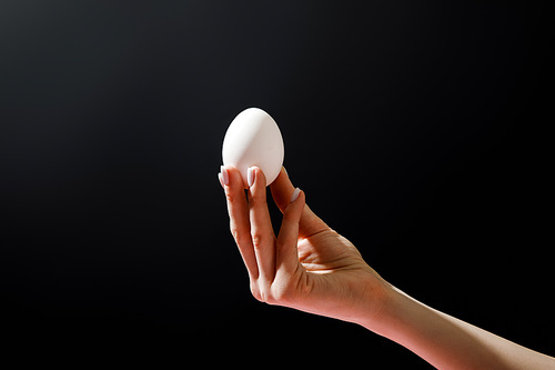 Cropped view of woman holding chicken egg isolated on black