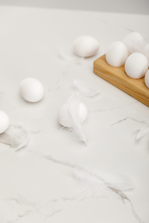 Chicken eggs on wooden board and feathers on white background