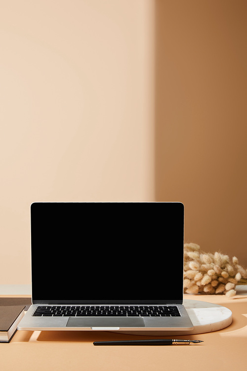laptop with blank screen on marble board near lagurus spikelets and paintbrush on beige background