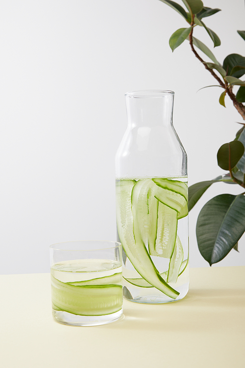 Bottle and glass with water and sliced cucumbers and plant leaves isolated on grey