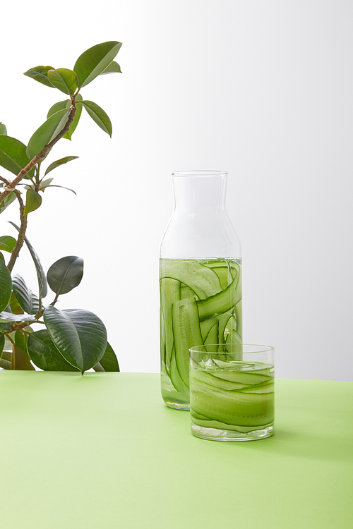 Bottle and glass with drink made of sliced cucumbers and plant on grey background