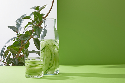 Bottle and glass with refreshing drink made of sliced cucumbers and plant on grey and green background