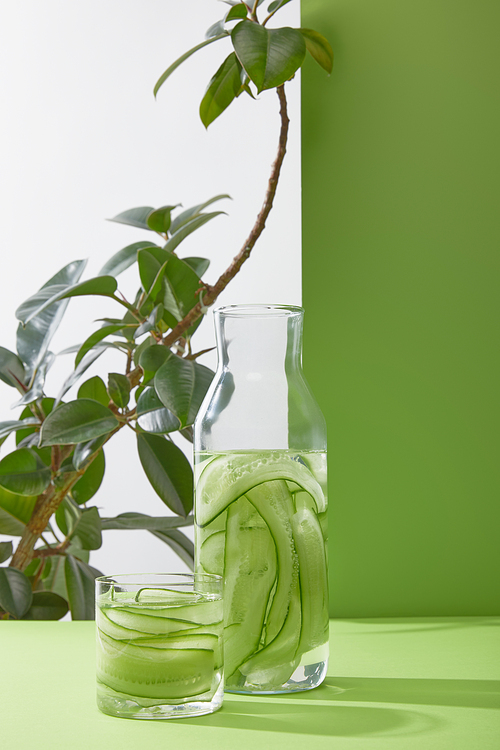 Bottle and glass with fresh drink made of sliced cucumbers and plant on grey and green background