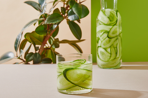 Selective focus of glass and bottle filled with water and sliced cucumbers and plant on beige and green background