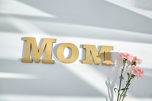 top view of pink carnations and mom lettering on white background with sunlight and shadows