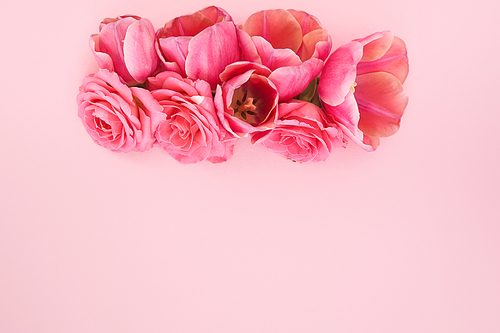 top view of pink roses and tulips buds on pink background with copy space