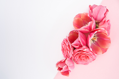 top view of spring flowers on white and pink background with copy space