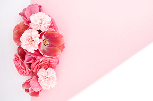 top view of spring flowers on white and pink background with copy space