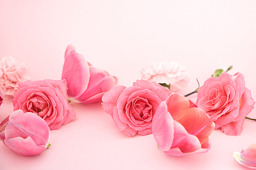 blooming spring flowers on pink background