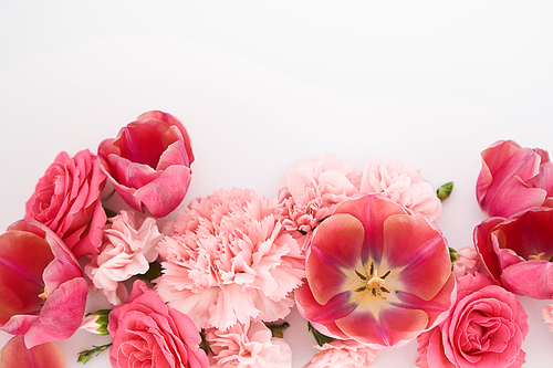 top view of pink spring flowers on white background with copy space
