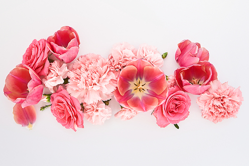 top view of pink spring flowers on white background