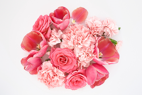 top view of pink spring flowers on white background