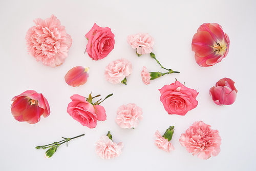 top view of pink spring flowers scattered on white background