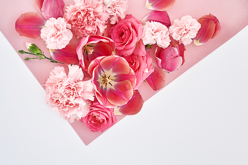 top view of roses, tulips and carnations on pink and white background