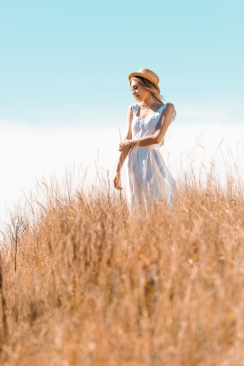 selective focus of young woman in white dress and straw hat looking away while standing on grassy hill