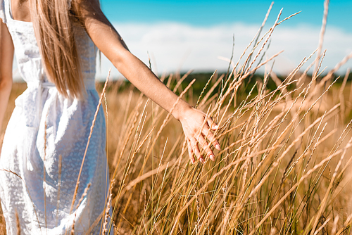 cropped view of woman in white dress touching spikelets while standing in grassy field