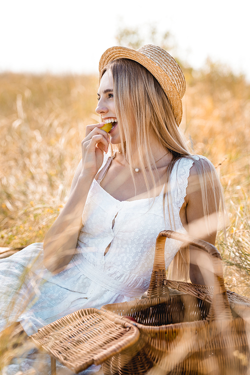 selective focus of blonde woman in white dress and straw hat eating ripe grape near wicker basket in meadow
