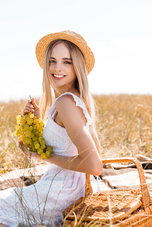 selective focus of sensual woman in white dress and straw hat holding bunch of ripe grapes while resting in field
