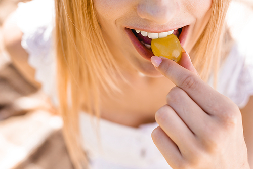 partial view of young woman eating ripe grape, selective focus