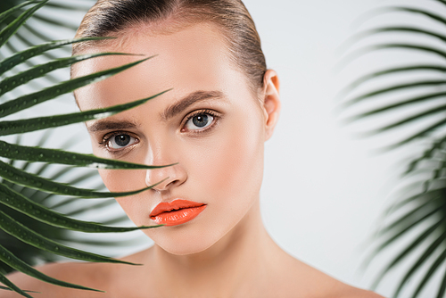 naked woman with makeup  near palm leaf on white