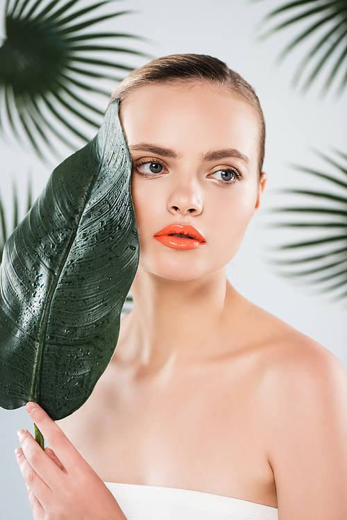attractive woman with makeup holding green leaf on white